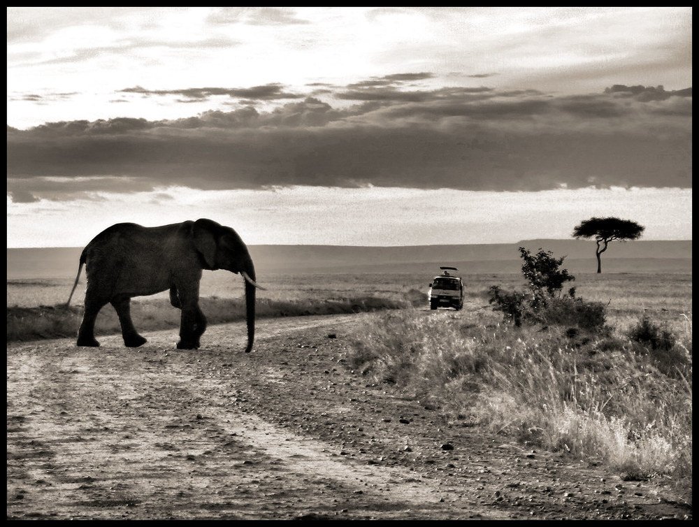 Sunset at  Masai Mara
