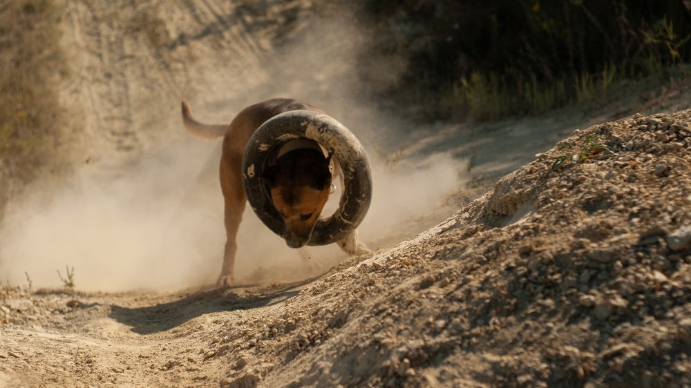 Photograph by Алексей Бессонов