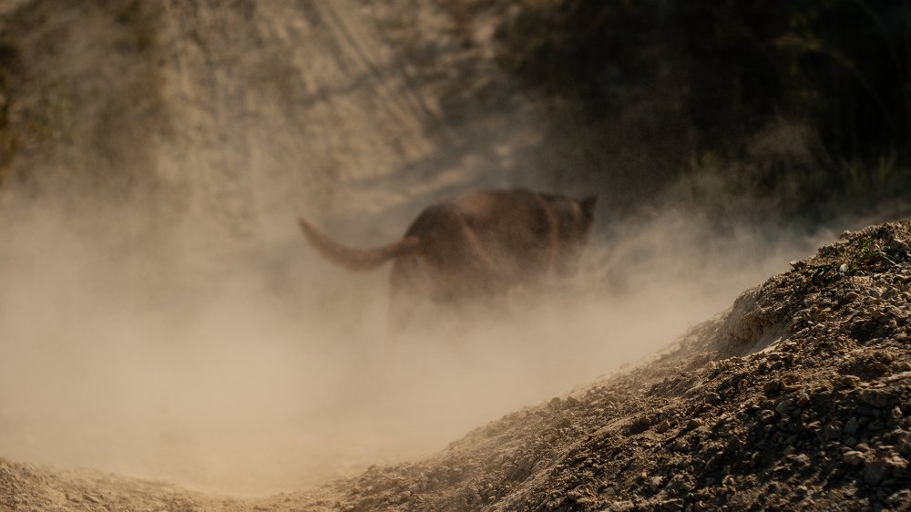 Photograph by Алексей Бессонов