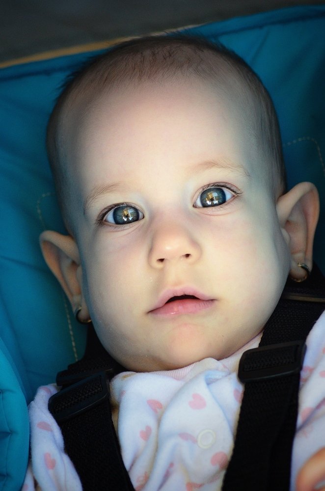 Photograph by Attila Grósz