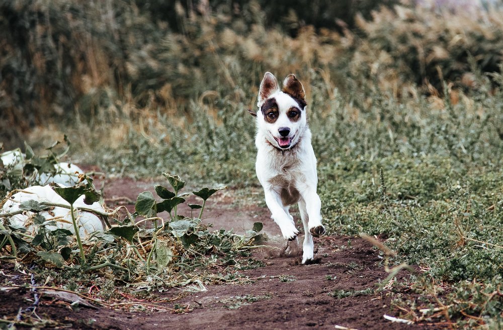Photograph by Дмитрий Становов