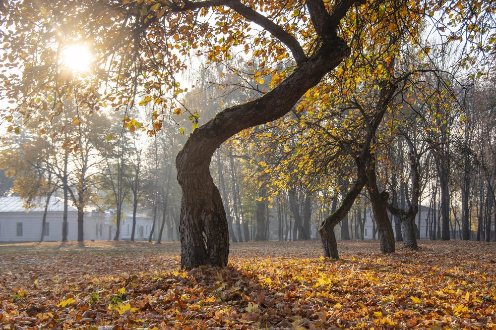 Photograph by Александр Крупский