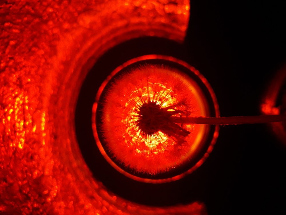 Фотография автора Оксана Талан