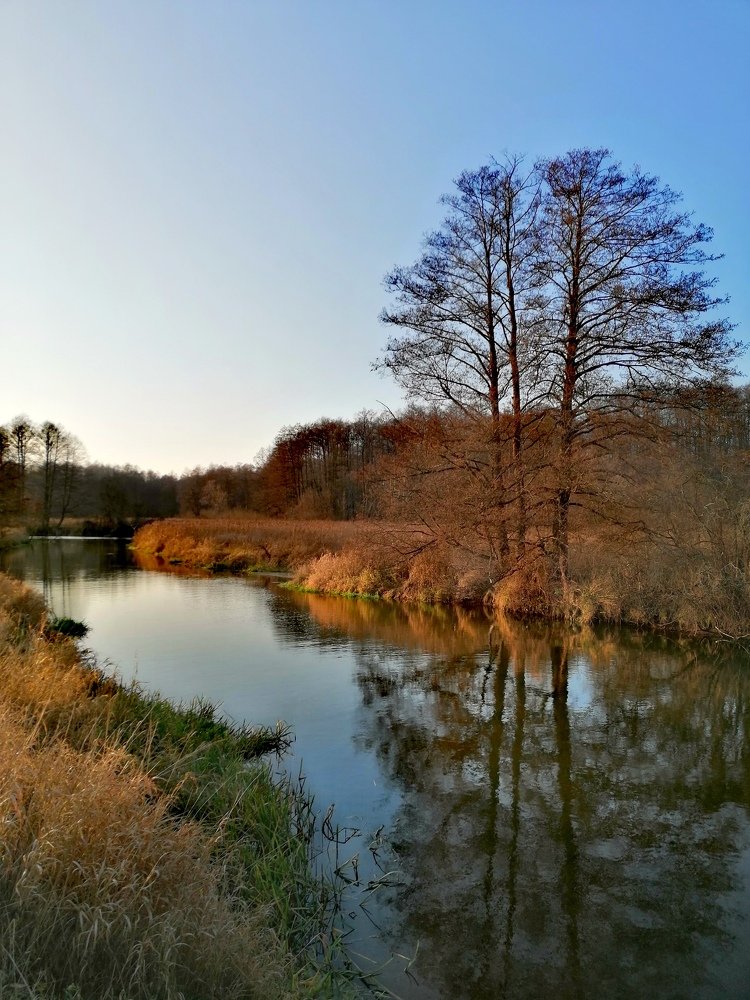 Осенняя Лахва