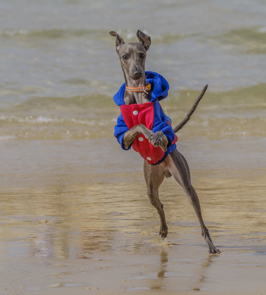 Photograph by Семен Шустер