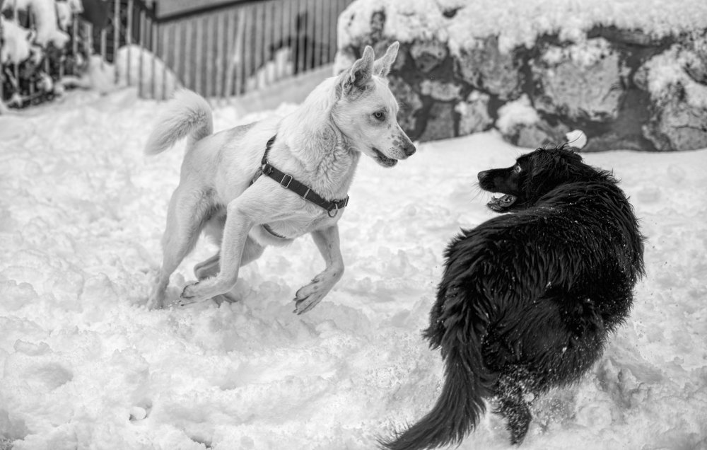 Photograph by Семен Шустер