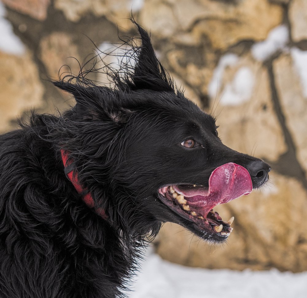 Photograph by Семен Шустер