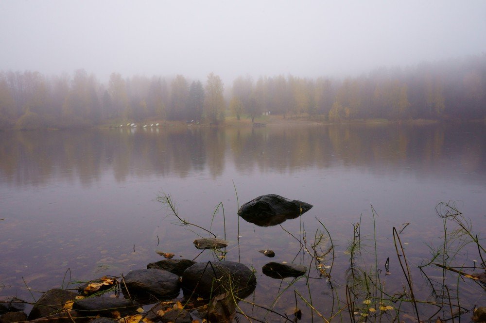 Туман над Каллавеси