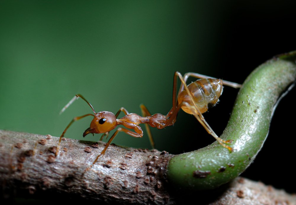Photograph by Roshan Thangarajah