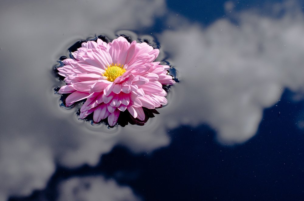 Photograph by Александр Крупский