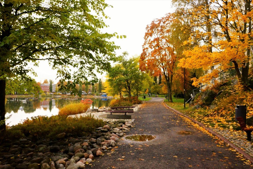 по осенней аллее