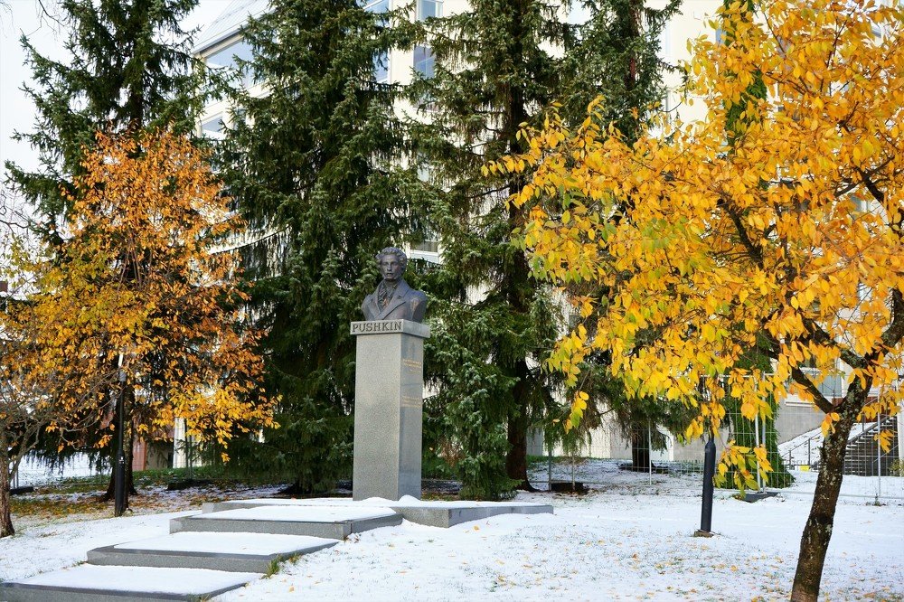 Photograph by Елена Шмарловская