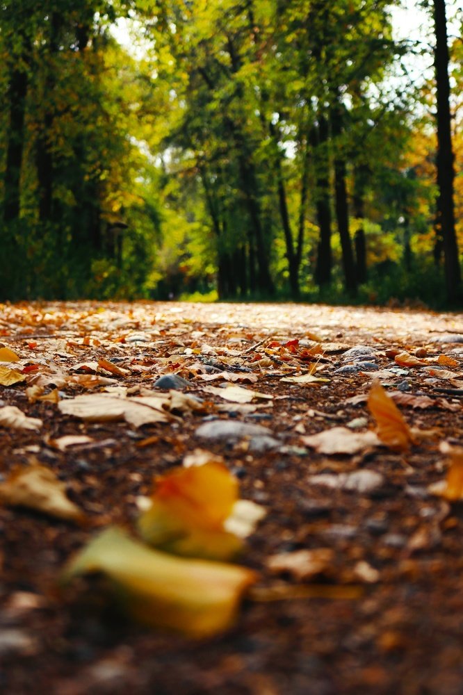 Photograph by Куба Тагайбеков