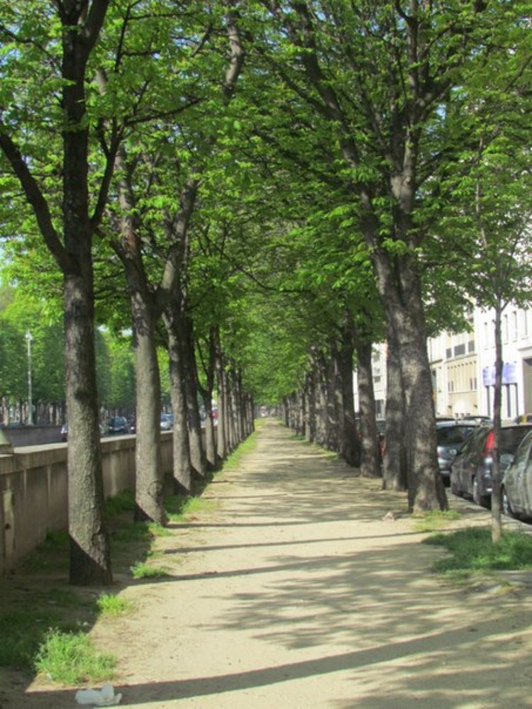 Photograph by Светлана Гринцова