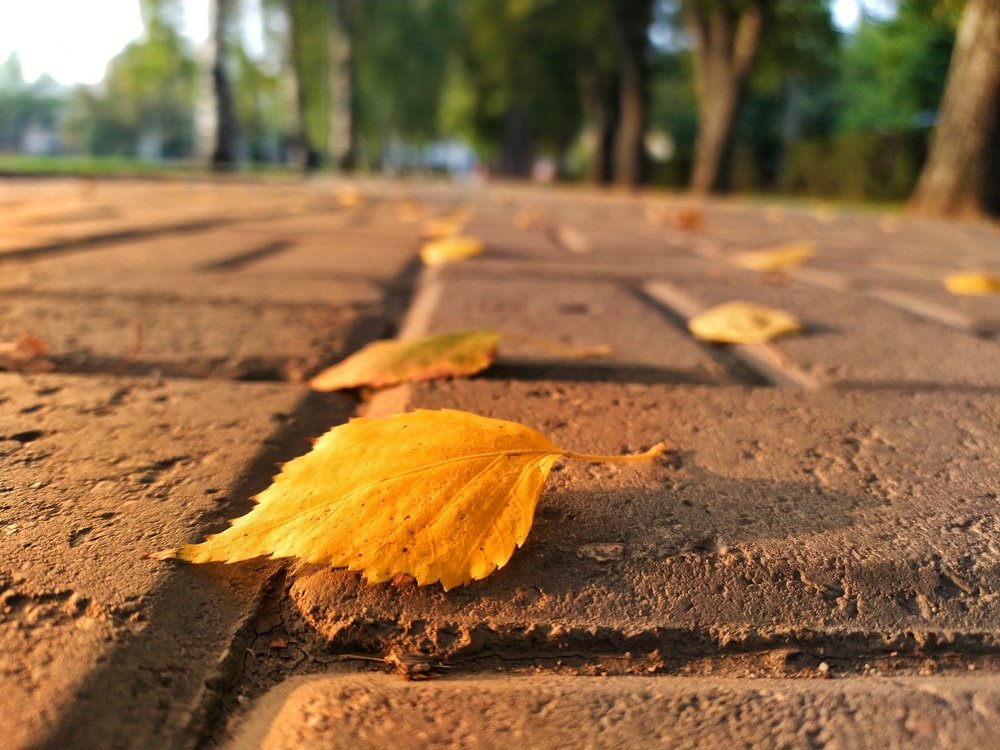 Photograph by Куба Тагайбеков