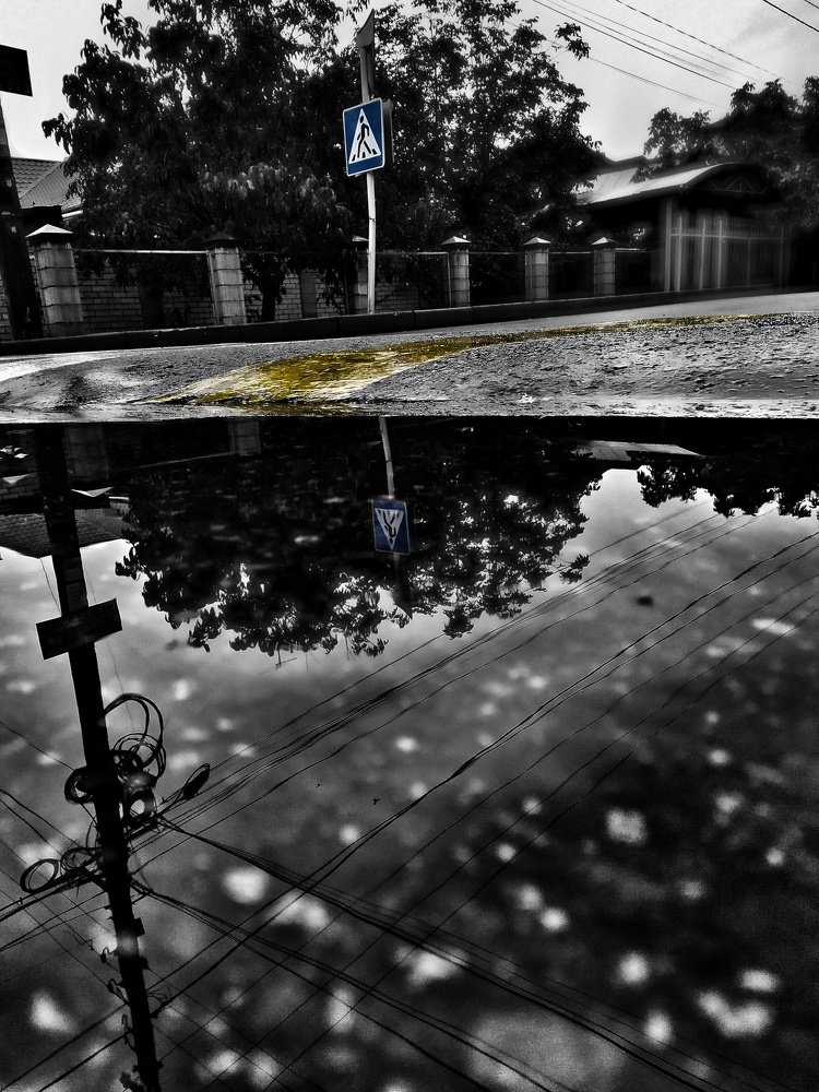 Photograph by Куба Тагайбеков