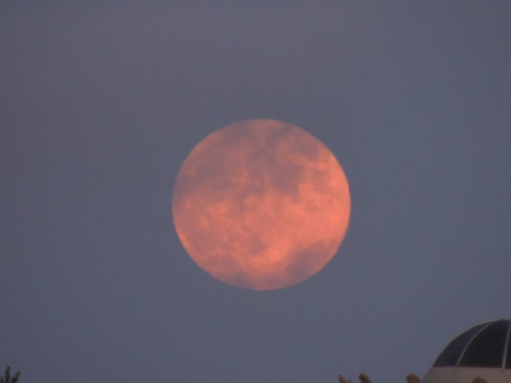 Photograph by Светлана Гринцова