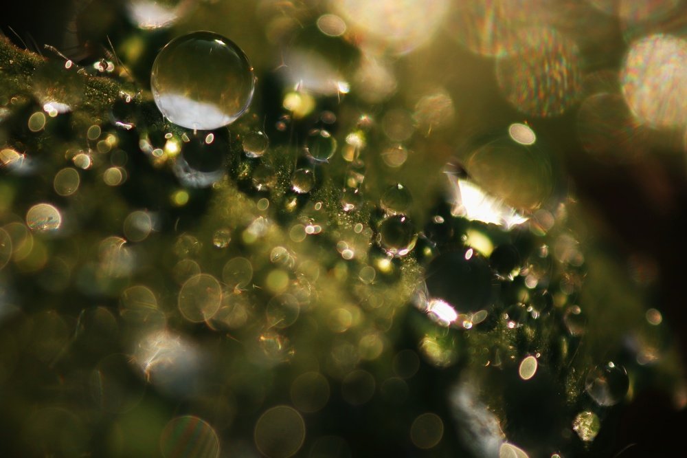 Photograph by Куба Тагайбеков