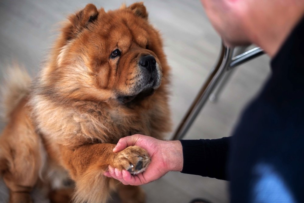 Photograph by Наталья Попова