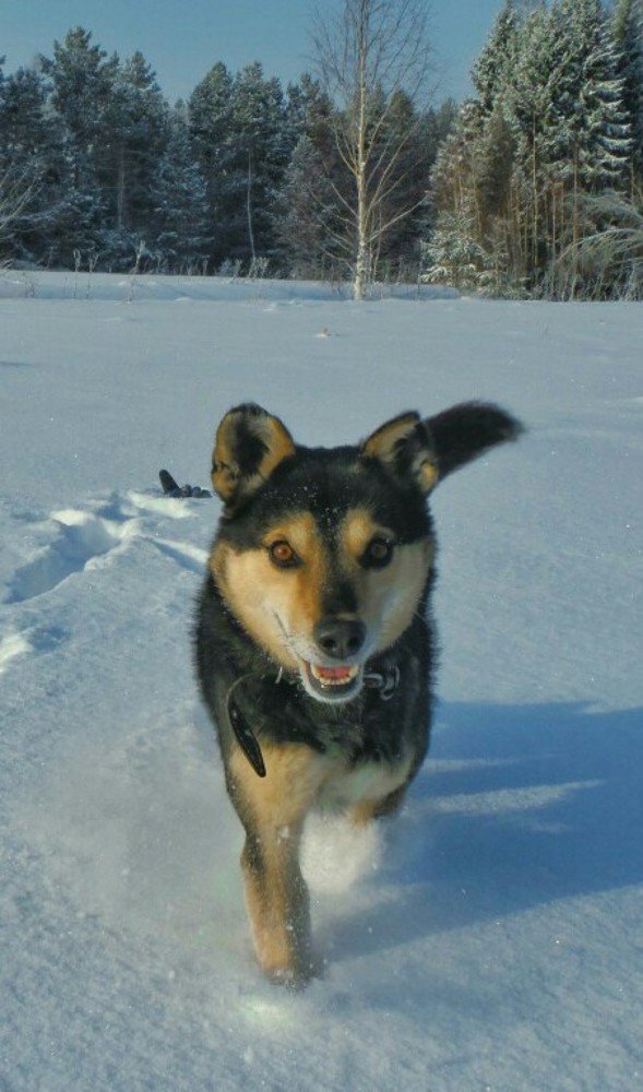 Photograph by Михаил Никитин