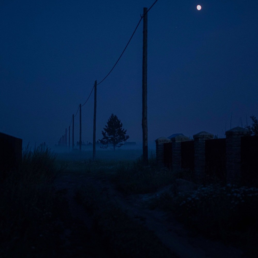 Ночной туман