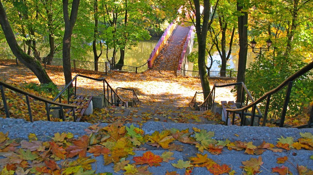 Фотография автора Нина Калинина