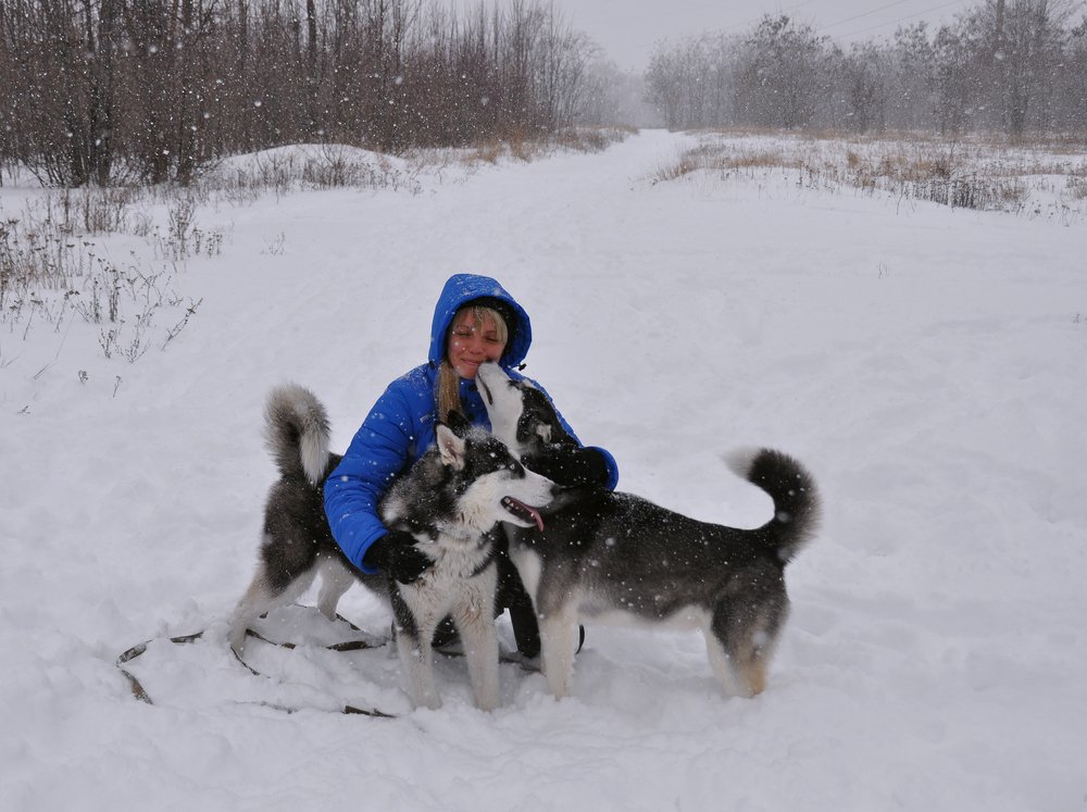 Верные друзья