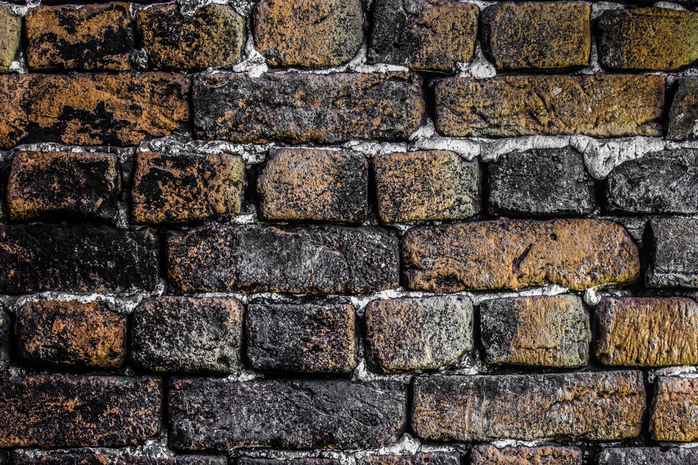 Photograph by Jelena Potrebic