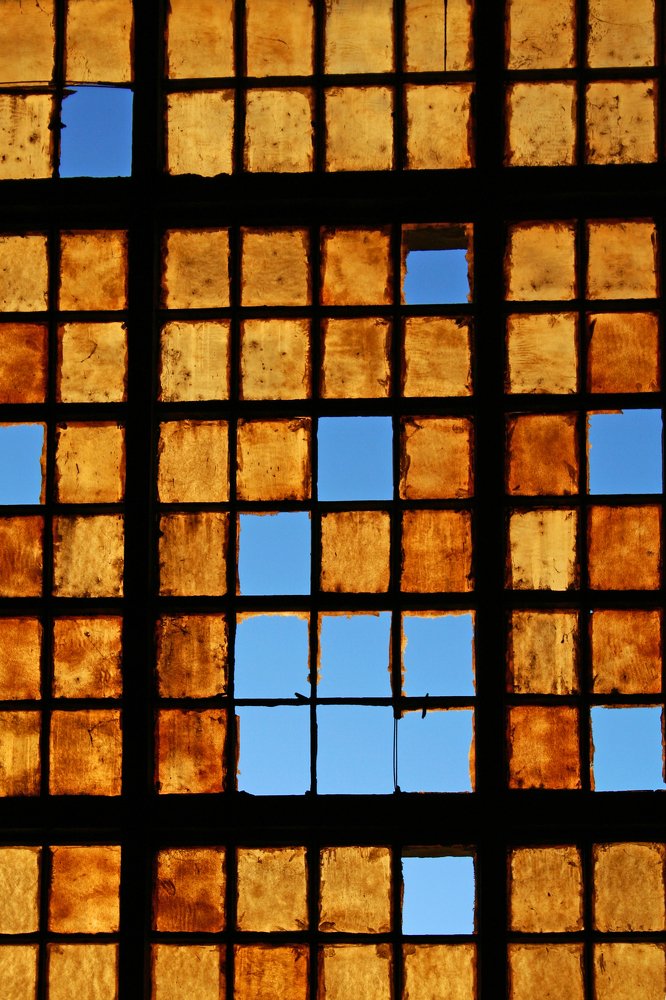 Фотография автора Jelena Potrebic