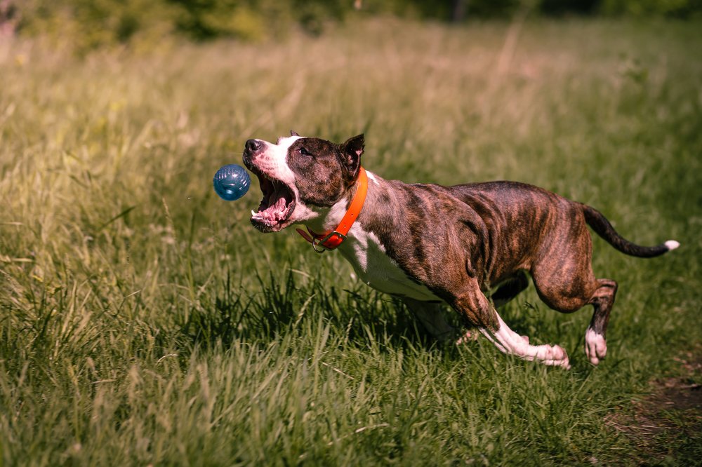 Photograph by Ольга Калимулина