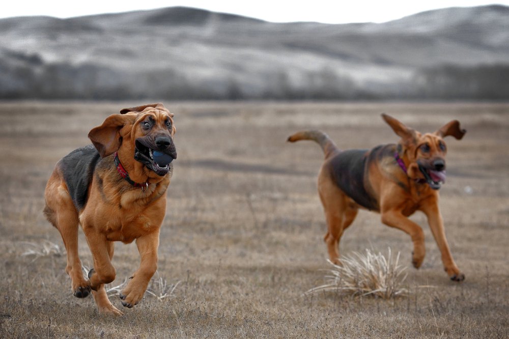 Photograph by Ольга Калимулина