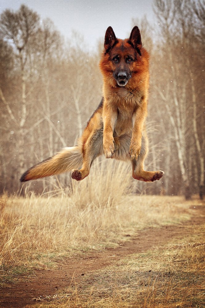 Photograph by Ольга Калимулина