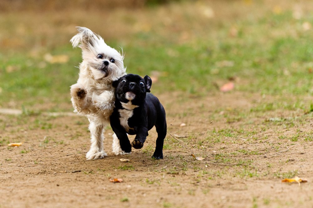 Photograph by ArteShok Studio