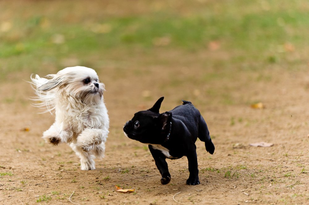 Photograph by ArteShok Studio