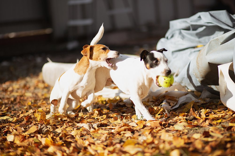 Photograph by Ксения Часова