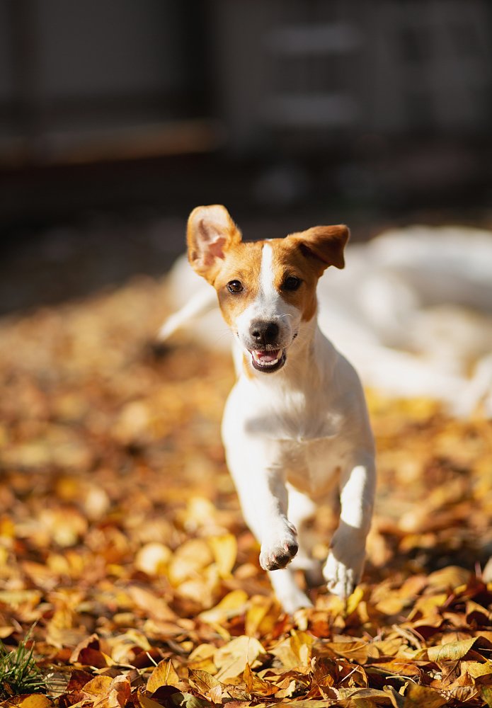 Photograph by Ксения Часова