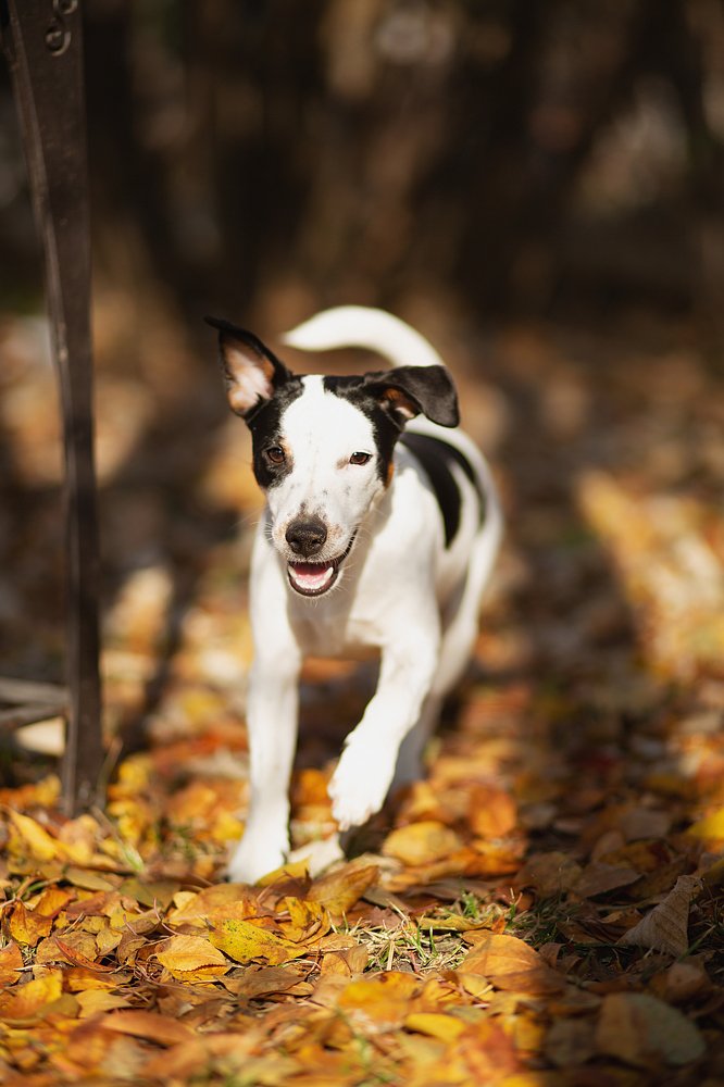 Photograph by Ксения Часова