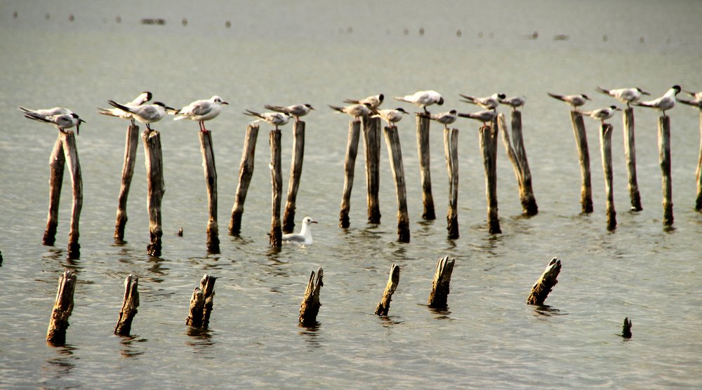 Photograph by Валерия Маркова