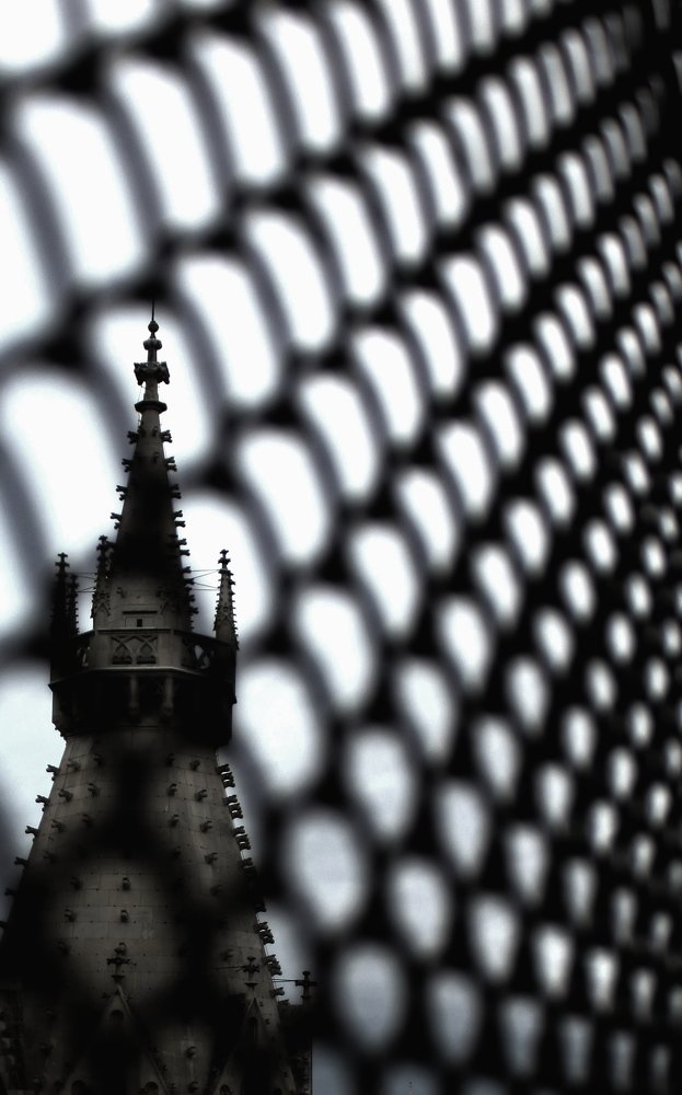 On the roof of Vienna Cathedral