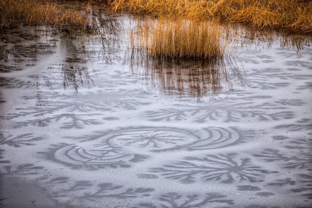 Photograph by Павел Сагайдак