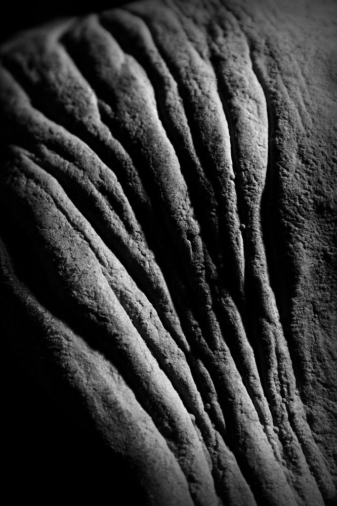 Photograph by Jelena Potrebic