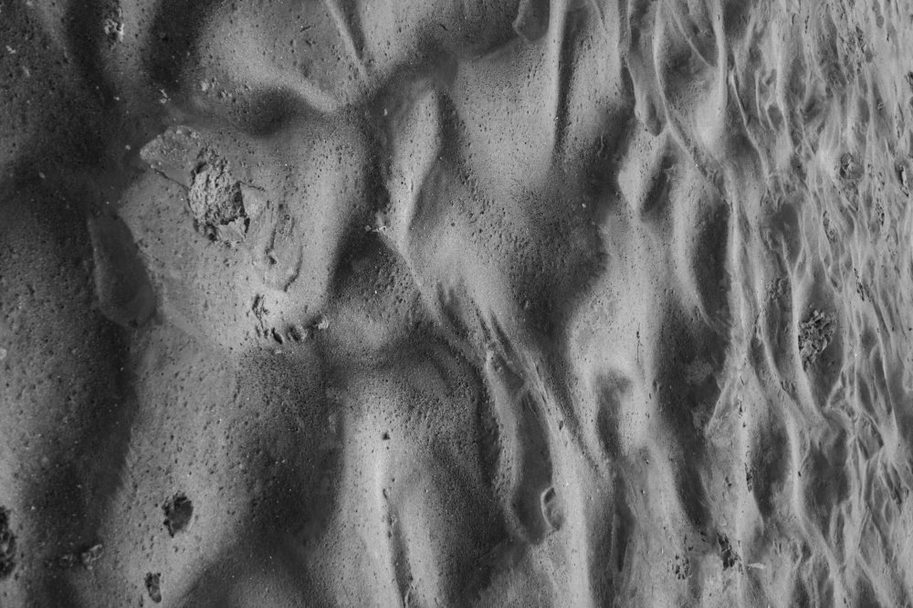 Photograph by Jelena Potrebic