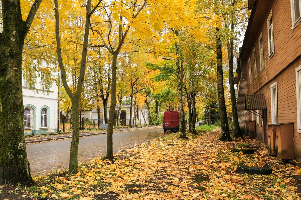 Photograph by Герман