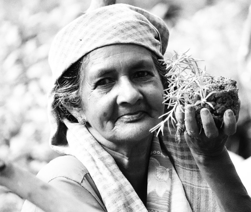 Photograph by  Reena