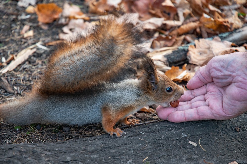 Photograph by Оксана Худякова
