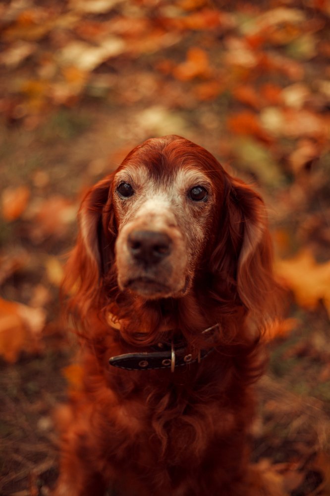 Фотография автора natalia parvan