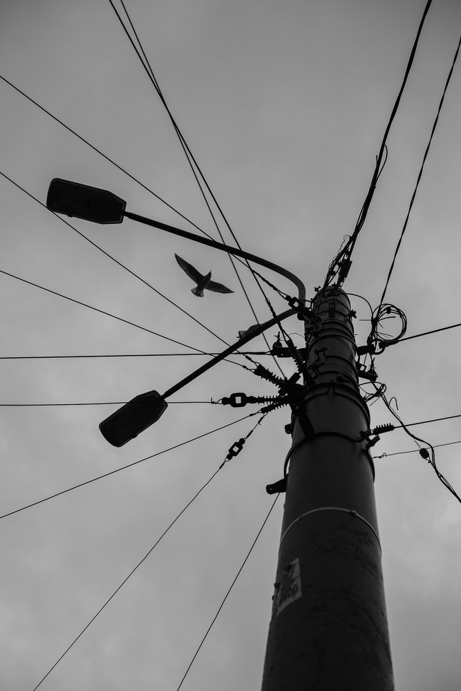 Photograph by Анна Чеснокова