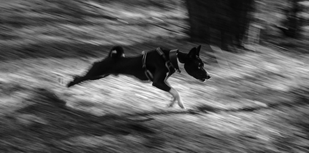 Photo #3904356