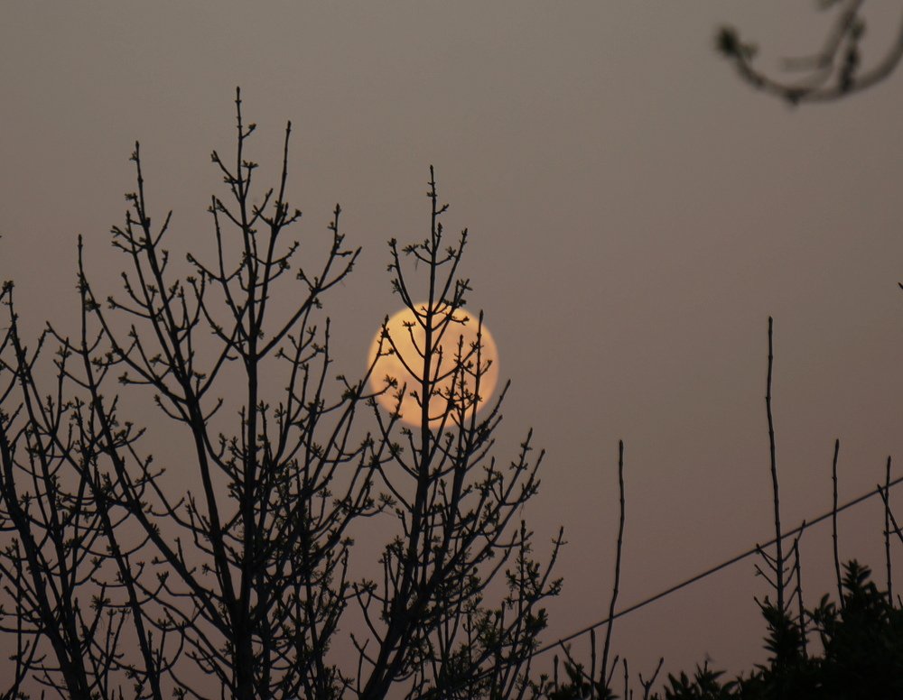 Photograph by Karina Elena Bergagna