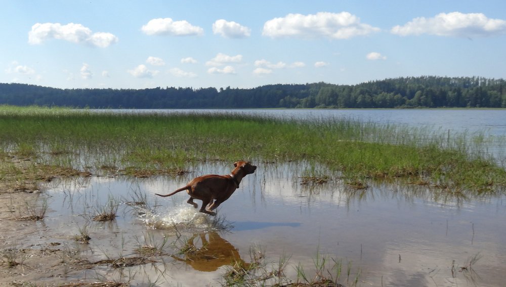 Photo #3904378